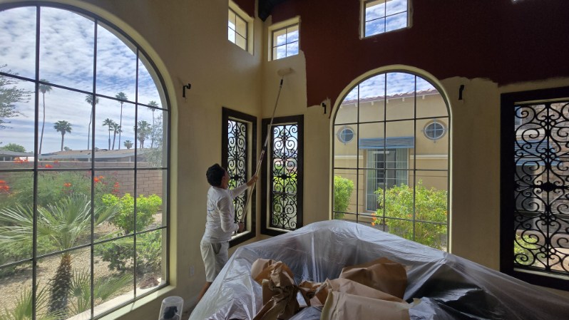 Stain and Paint Services